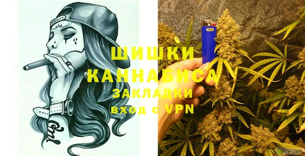 шишки Арсеньев