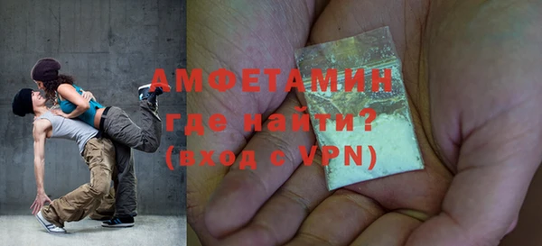 шишки Арсеньев