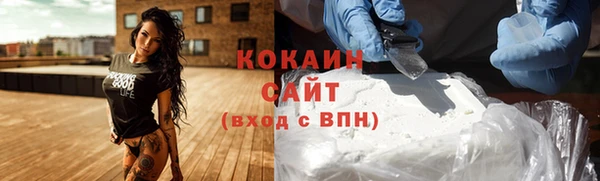 шишки Арсеньев