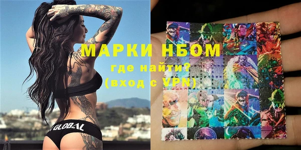 шишки Арсеньев