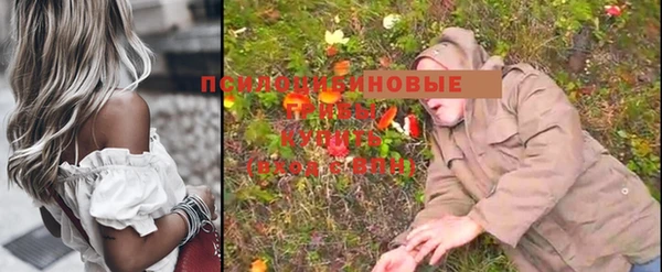 не бодяженный Аркадак