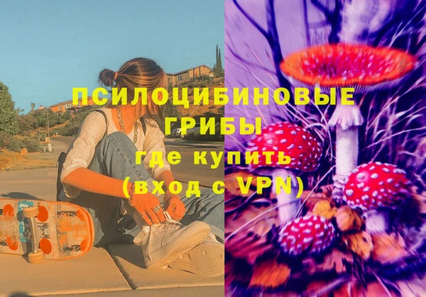 не бодяженный Аркадак