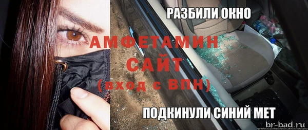 шишки Арсеньев