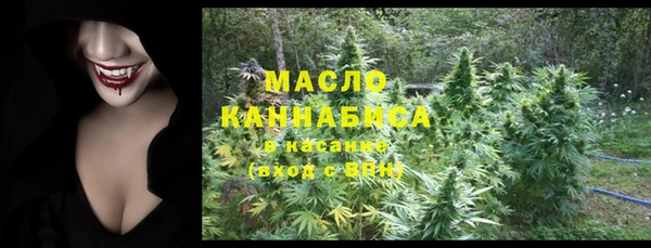 шишки Арсеньев