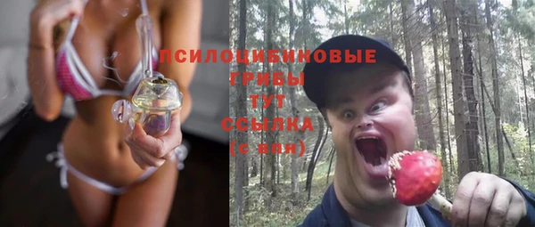 шишки Арсеньев