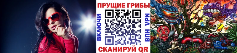 Галлюциногенные грибы GOLDEN TEACHER  blacksprut ссылка  Опочка 